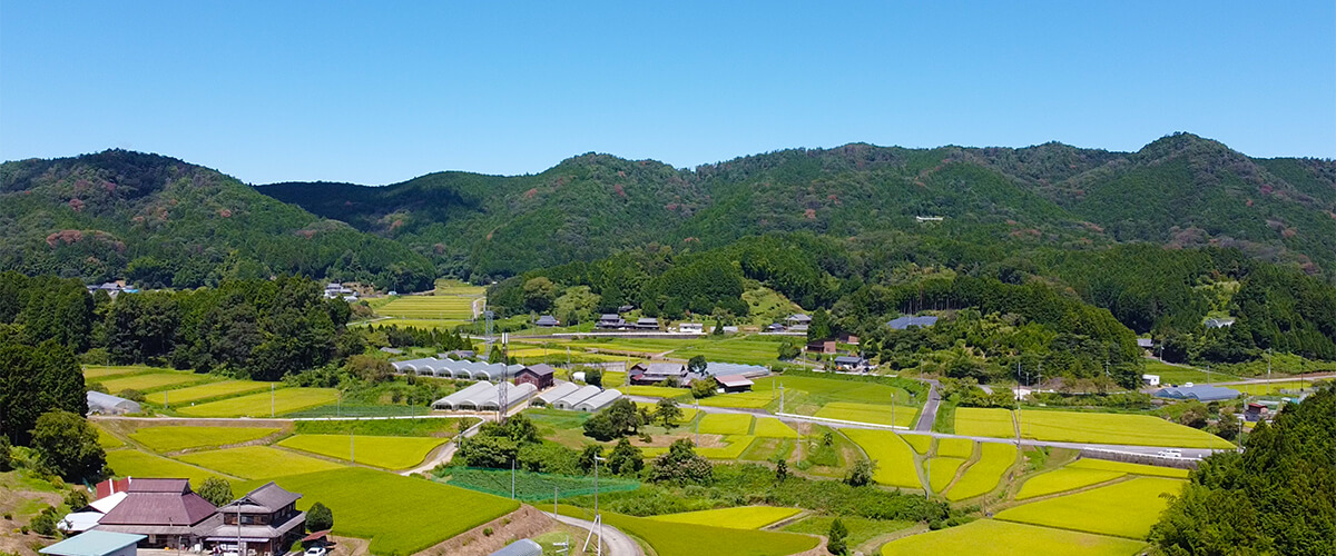 かつらぎ農園（和歌山県かつらぎ町）